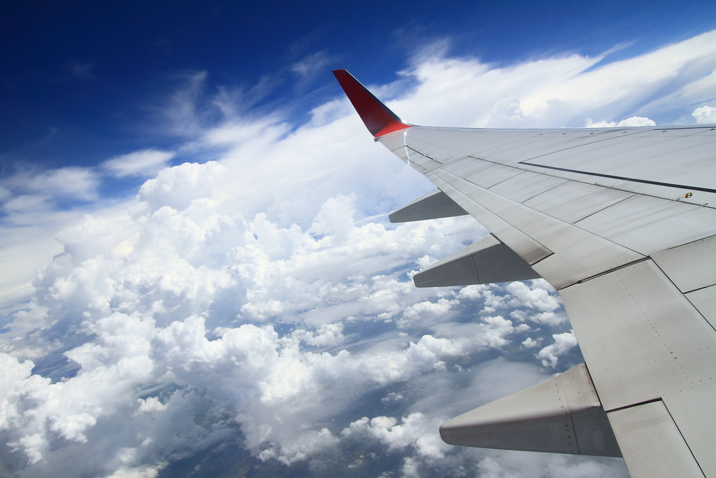 Avión en vuelo